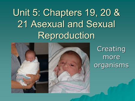 Unit 5: Chapters 19, 20 & 21 Asexual and Sexual Reproduction