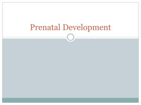 Prenatal Development. HOW A BABY I BORN – IN THE EYES OF A CHILD.