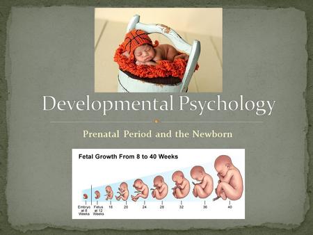 Prenatal Period and the Newborn. Examines how people are continually developing – physically, cognitively, and socially –from infancy through old age.