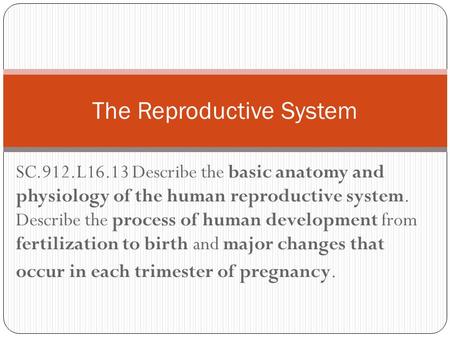 SC.912.L16.13 Describe the basic anatomy and physiology of the human reproductive system. Describe the process of human development from fertilization.