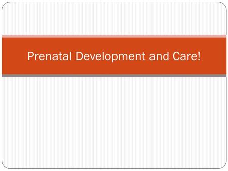 Prenatal Development and Care!