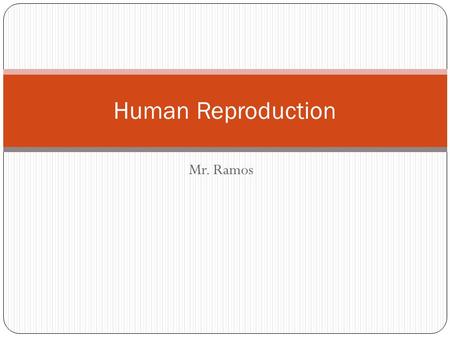 Human Reproduction Mr. Ramos.