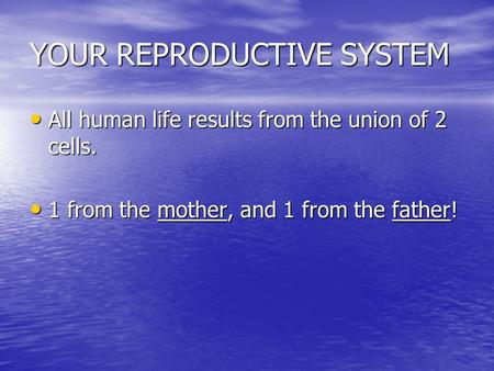 YOUR REPRODUCTIVE SYSTEM