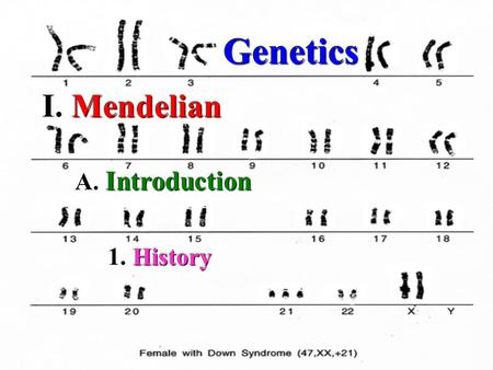 Genetics I. I. Mendelian 1. History A. Introduction.