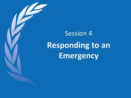 Session 4 Responding to an Emergency. Objectives At the end of this session, you will: Be familiar with the RC/HC Handbook and the Emergency Checklist.