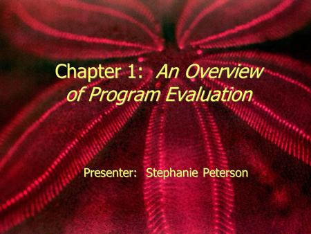 Chapter 1: An Overview of Program Evaluation Presenter: Stephanie Peterson.