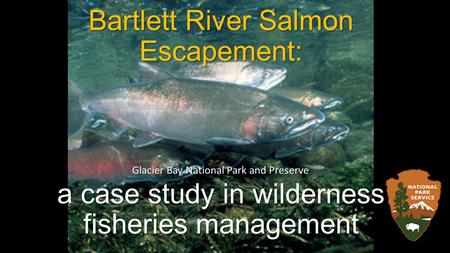 Bartlett River Salmon Escapement: a case study in wilderness fisheries management Glacier Bay National Park and Preserve.