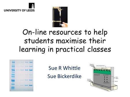 On-line resources to help students maximise their learning in practical classes Sue R Whittle Sue Bickerdike.