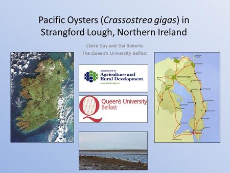 Pacific Oysters (Crassostrea gigas) in Strangford Lough, Northern Ireland Claire Guy and Dai Roberts The Queen’s University Belfast.