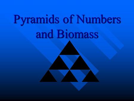 Pyramids of Numbers and Biomass Pyramids Of Numbers A pyramid of number is a diagram showing the amount of energy lost at each level when an organism.