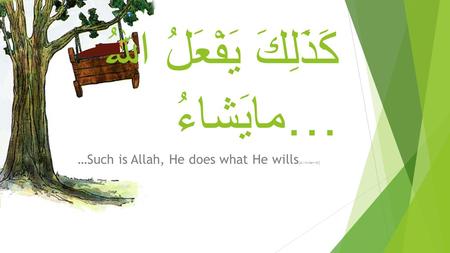 كَذَلِكَ يَفْعَلُ اللهُ مايَشاءُ… …Such is Allah, He does what He wills [Al-Imraan-40]