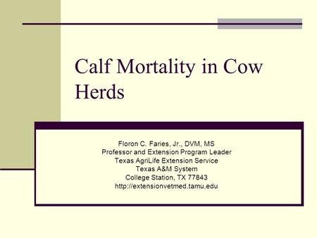 Calf Mortality in Cow Herds Floron C. Faries, Jr., DVM, MS Professor and Extension Program Leader Texas AgriLife Extension Service Texas A&M System College.