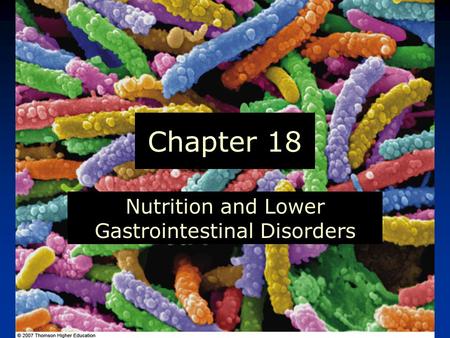 © 2007 Thomson - Wadsworth Chapter 18 Nutrition and Lower Gastrointestinal Disorders.