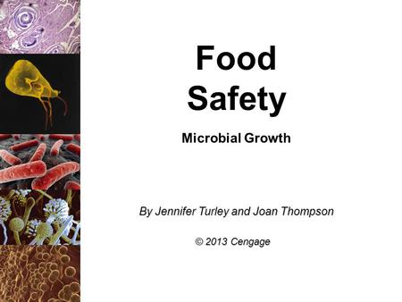 Food Safety Microbial Growth By Jennifer Turley and Joan Thompson © 2013 Cengage.