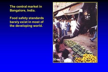 The central market in Bangalore, India. Food safety standards barely exist in most of the developing world.