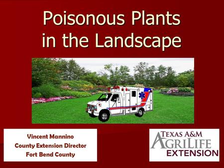 Poisonous Plants in the Landscape Vincent Mannino County Extension Director Fort Bend County.