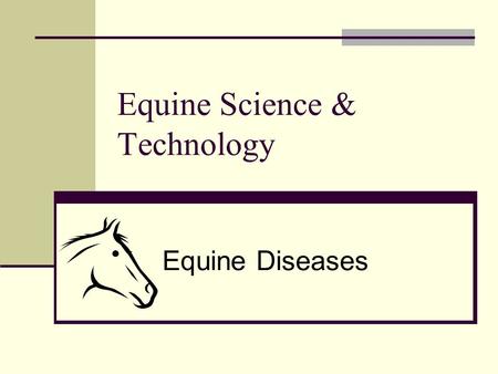 Equine Science & Technology Equine Diseases. Anthrax (Splenic Fever) Anthrax- an acute infectious disease affecting horses and other warm-blooded animals.