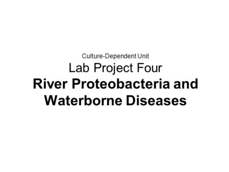 Culture-Dependent Unit Lab Project Four River Proteobacteria and Waterborne Diseases.