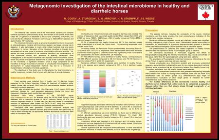 Metagenomic investigation of the intestinal microbiome in healthy and diarrheic horses M. COSTA 1, A. STURGEON 1, L. G. ARROYO 2, H. R. STAEMPFLI 2, J.