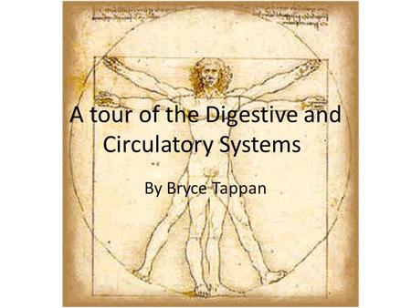 A tour of the Digestive and Circulatory Systems By Bryce Tappan.