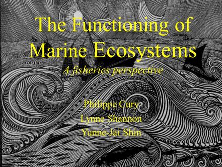 The Functioning of Marine Ecosystems A fisheries perspective