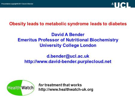 Obesity leads to metabolic syndrome leads to diabetes David A Bender Emeritus Professor of Nutritional Biochemistry University College London