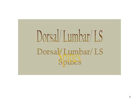 Dorsal/ Lumbar/ LS Spines