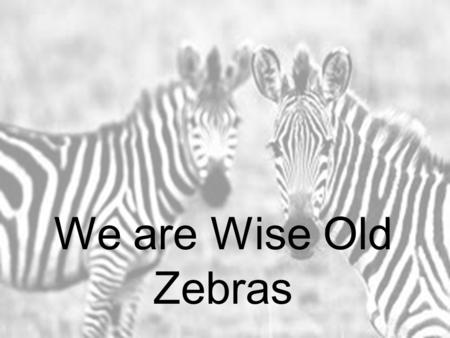 We are Wise Old Zebras We are (put on glasses) wise old zebras. We’ve got wise old zebra (run hands head to knees) stripes. You should (tilt head,