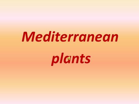 Mediterranean plants. The plants, which are mainly cultivated since ancient times until today in Greece and many other Mediterranean countries, are.