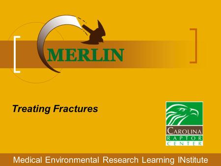 Treating Fractures Medical Environmental Research Learning INstitute.