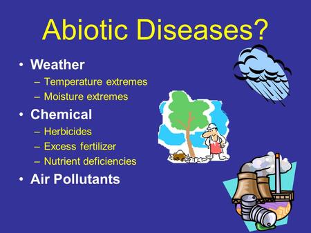 Abiotic Diseases? Weather –Temperature extremes –Moisture extremes Chemical –Herbicides –Excess fertilizer –Nutrient deficiencies Air Pollutants.
