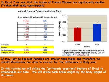 In Excel 2 we saw that the brains of French Women are significantly smaller (*) than their male counterparts It may just be because Females are smaller.