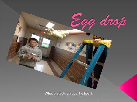 What protects an egg the best?. The reason I am doing this project is to see what protects an egg from breaking and cracking a cup, bubble wrap, stuffed.