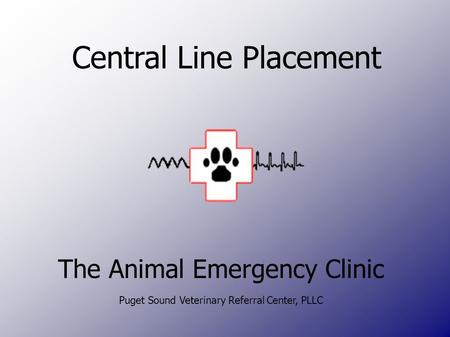 Central Line Placement The Animal Emergency Clinic Puget Sound Veterinary Referral Center, PLLC.