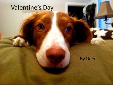By Deer Valentine’s Day. Agenda: Eat. (Play videos during). Share best/worst. Also- something/someone you love. No quiz. (It’s a holiday!) PPT surprise.
