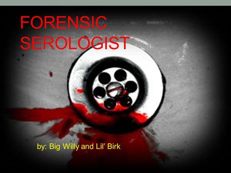 FORENSIC SEROLOGIST by: Big Willy and Lil’ Birk. Description of Serologist Determination of the type and characteristics of blood, blood testing, bloodstain.