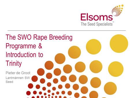The SWO Rape Breeding Programme & Introduction to Trinity Pieter de Groot Lantmännen SW Seed.