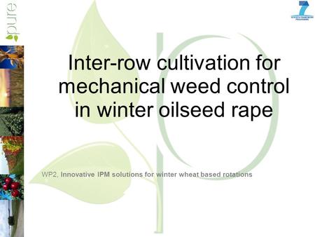 Inter-row cultivation for mechanical weed control in winter oilseed rape WP2, Innovative IPM solutions for winter wheat based rotations.
