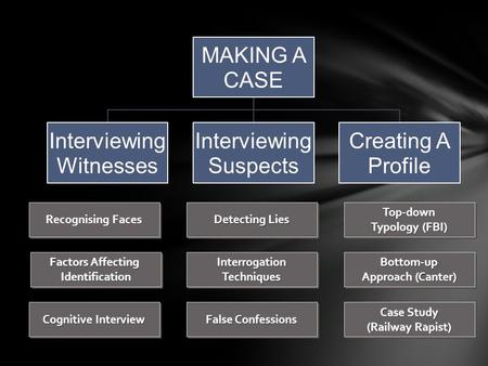MAKING A CASE Interviewing Witnesses Suspects Creating A Profile