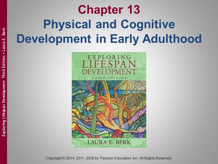 Chapter 13 Physical and Cognitive Development in Early Adulthood