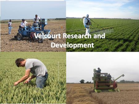Velcourt Research and Development. Aim of the Department To provide totally independent advice to the farm management team and agronomy service clients.