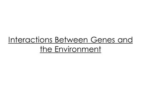 Interactions Between Genes and the Environment. Genes are not the only thing that can affect the appearance of an organism, environment can play a large.