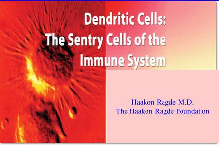 Haakon Ragde M.D. The Haakon Ragde Foundation. B Cell The Star Players Most potent cells of the immune system T Cell Dendritic Cell Antibodies.