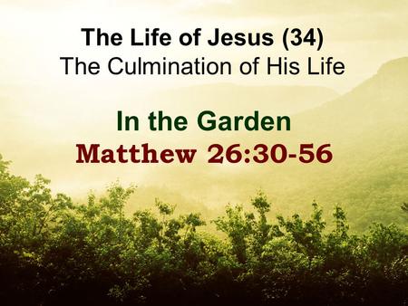 The Life of Jesus (34) The Culmination of His Life In the Garden Matthew 26:30-56.