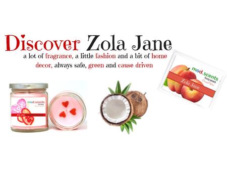 ZolaJane (Becky’s Mom)(Paul’s Mom) Introduction to Zola Jane Why Change? Why Zola Jane? What is Zola Jane? Different Ways to Sell and Build a Business.