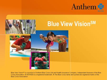 Blue View Vision SM Blue View Vision SM is a product of Anthem Blue Cross Life and Health Insurance Company. Independent licensee of the Blue Cross Association.