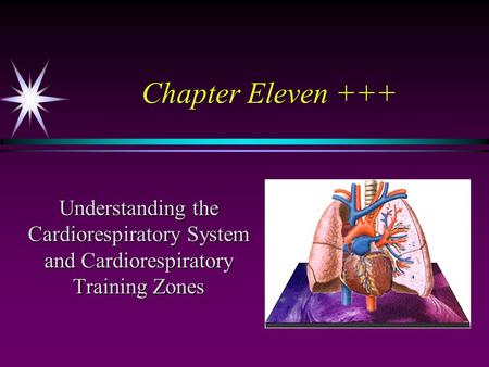 Chapter Eleven +++ Understanding the Cardiorespiratory System and Cardiorespiratory Training Zones.