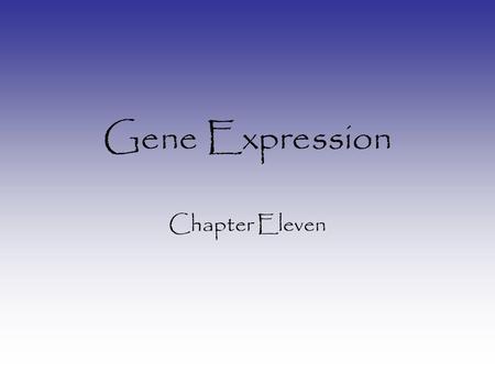 Gene Expression Chapter Eleven. What is Gene Expression? When a gene is expressed – that gene’s protein product is made: 1.DNA is transcribed into RNA.