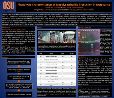 Phenotypic Characterization of Exopolysaccharide Production in Lactococcus Roberto A. Garcia III  Mentor: Dr. Janine Trempy Oregon State University; Department.