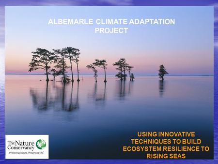 ALBEMARLE CLIMATE ADAPTATION PROJECT USING INNOVATIVE TECHNIQUES TO BUILD ECOSYSTEM RESILIENCE TO RISING SEAS.